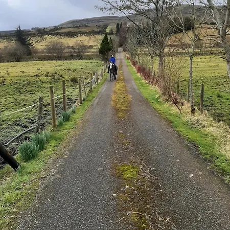 Drummonds House * Sligo